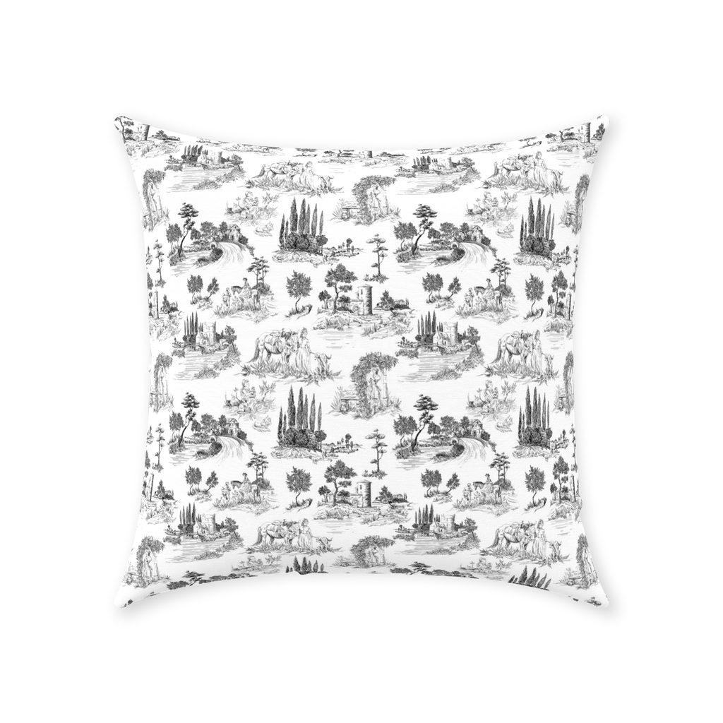 Vintage French Cotton Pillows Black Toile de Jouy