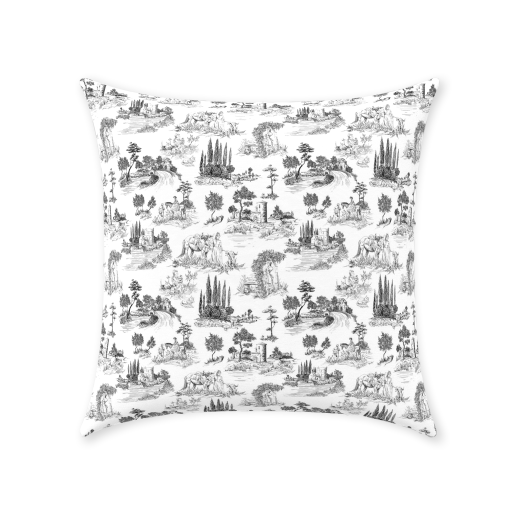 Vintage French Cotton Pillows Black Toile de Jouy